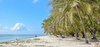 Uus sihtkoht – Keenia, Mombasa! 🥳
