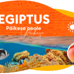 Suurepärased pakkumised Egiptusesse! 🤩